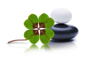 Bruno BROCHARD Alençon, Professionnel indépendant